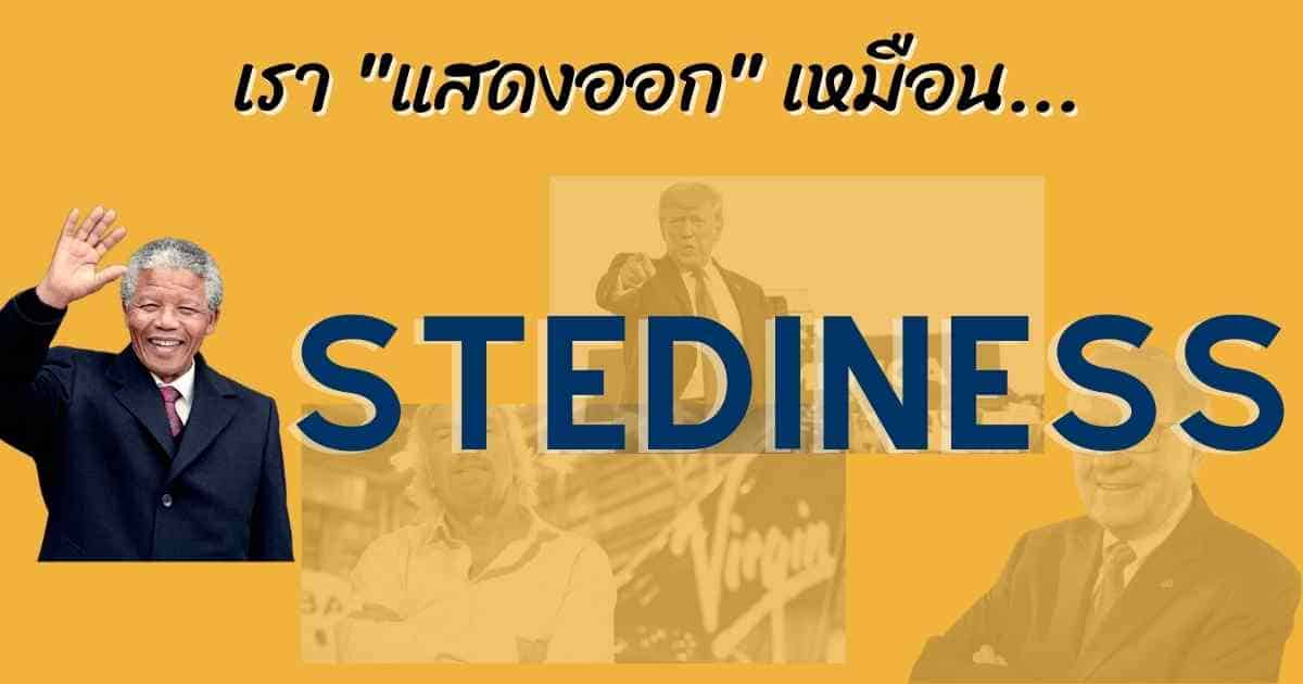 Stediness DISC Personality Test Stediness DISC Personality Test